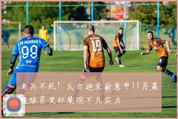 老兵不死！瓦尔迪荣获意甲11月最佳球员奖杯展现不凡实力