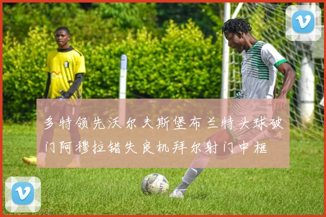 多特领先沃尔夫斯堡布兰特头球破门阿穆拉错失良机拜尔射门中框